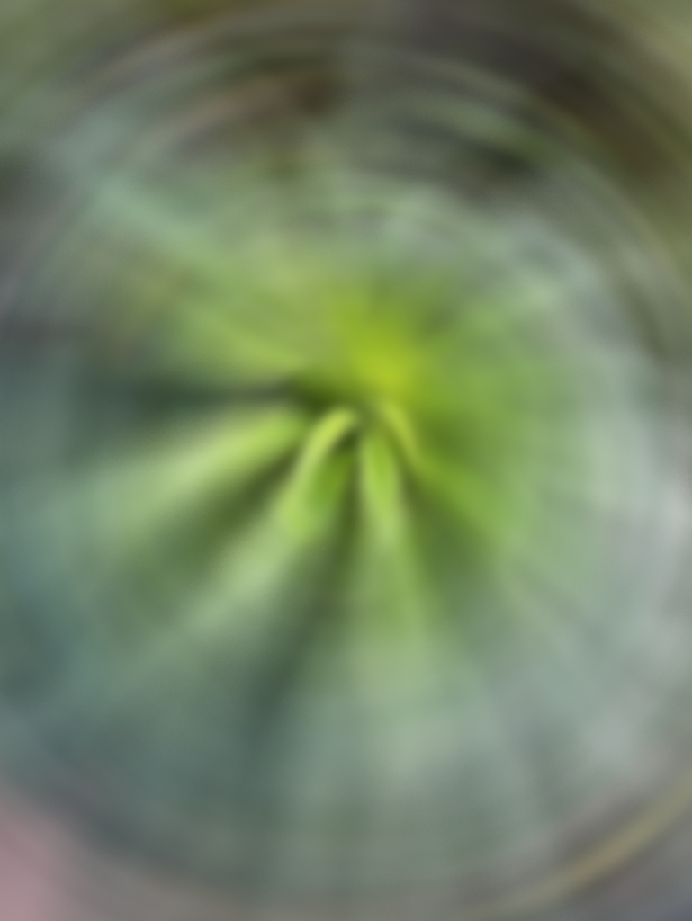 bjorn fluff blur02