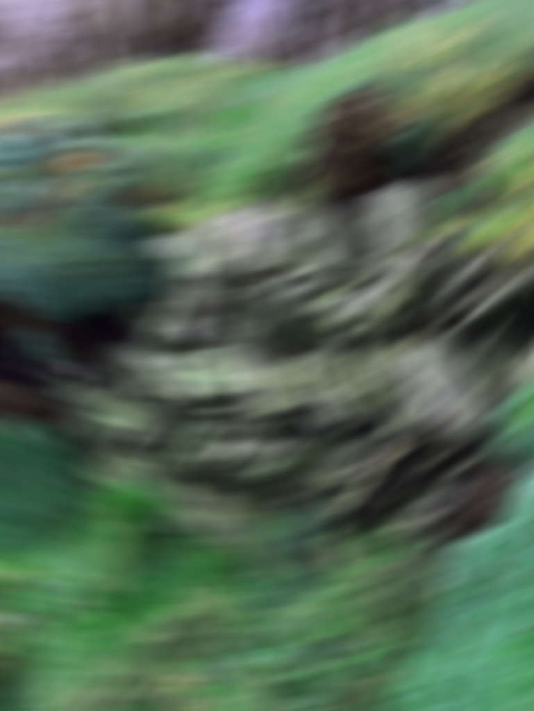 bjorn slate wall 02